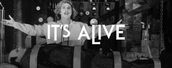 Imagen de El jovencito Frankenstein (Young Frankenstein) (1974)